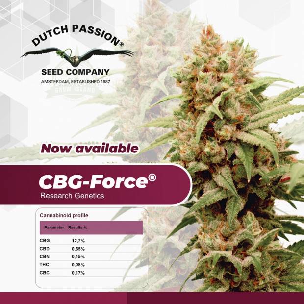 Dutch Passion / CBD / CBG Force