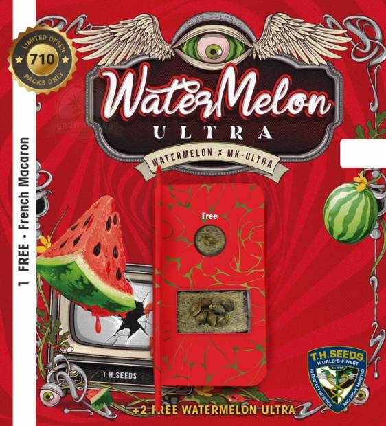 T. H. Seeds / FEM / Watermelon Ultra