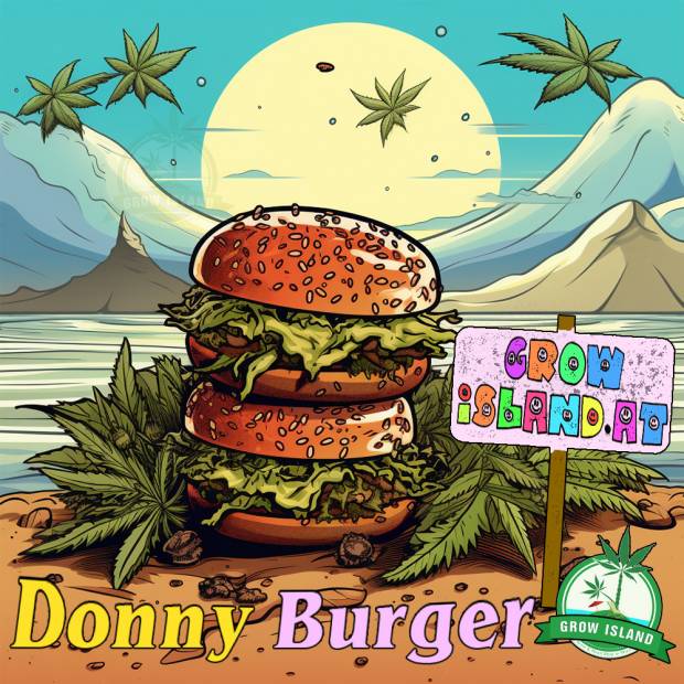 donny_burger.jpg