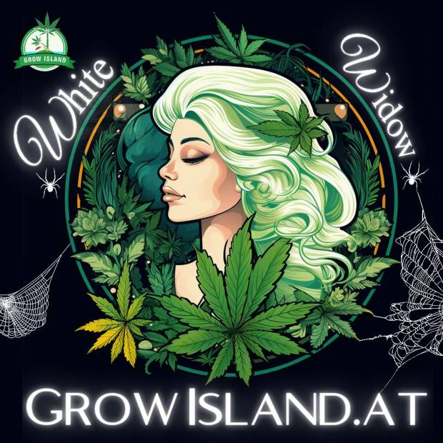 white_widow_xxl_grow_island_hanfstecklinge_.jpg