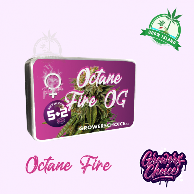 Octane Fire OG seed box with hemp flower bud picture