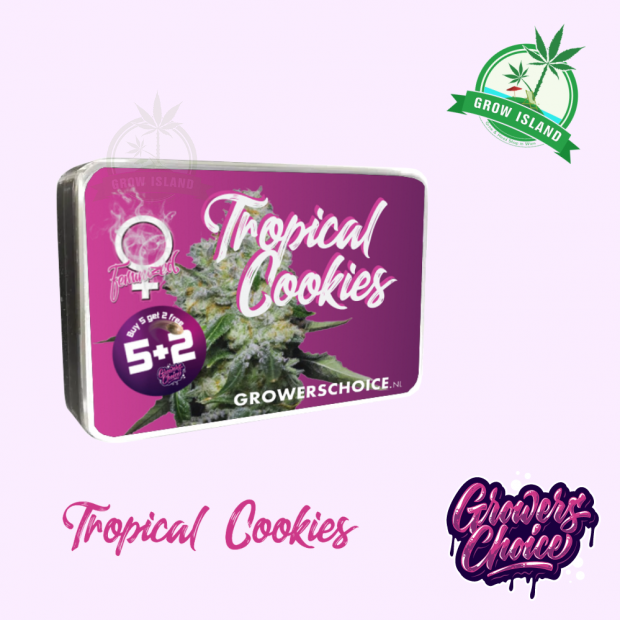 Tropical Cookies seed box with hemp flower bud picture