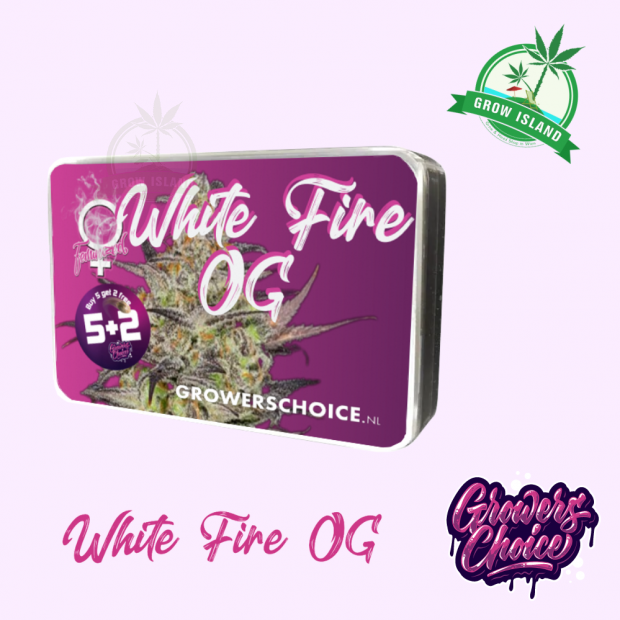 White Fire OG seed box with hemp flower bud picture