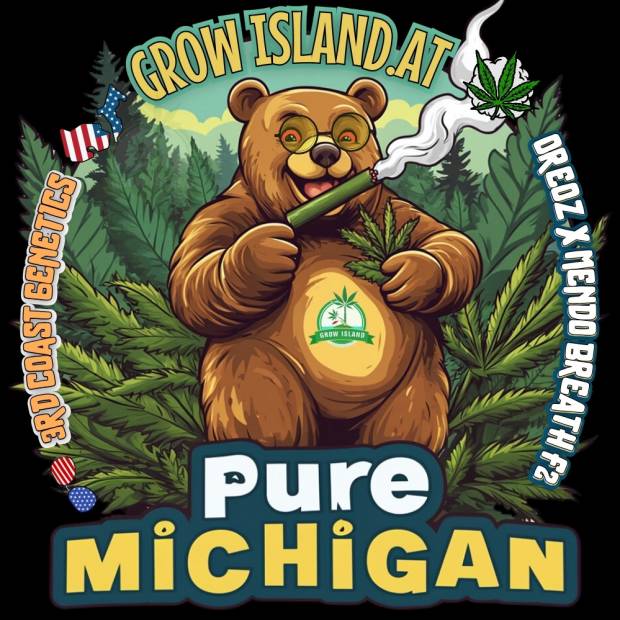 Pure Michigan logo, A bear wearing round glasses and smoking a joint, with a cannabis forest in the background.