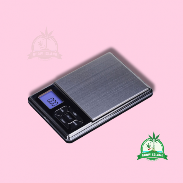 G Scale EQ 100 g - 0,01g with pink background and green Grow Island logo in the right corner