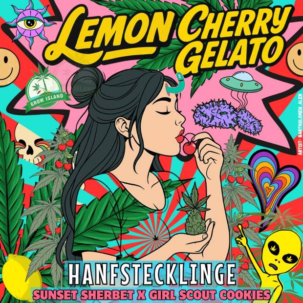 Lemon Cherry Gelato Girl and Cherry Lemon