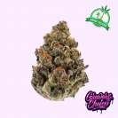 Octane Fire OG hemp flower bud