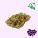 White Fire OG hemp flower bud