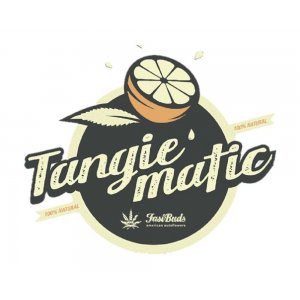 Tangie Matic logo with a half orange