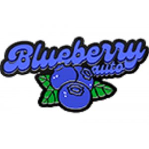 Fast Buds / AUTO / Original Blueberry