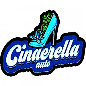 Fast Buds / AUTO / Original Cinderella