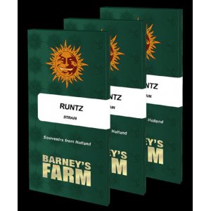 Barney's Farm / FEM / Runtz
