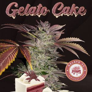 T. H. Seeds / FEM / Gelato Cake