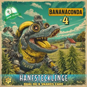 BananaConda 4 hemp plant Logo