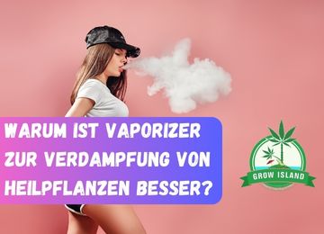 Warum ist Vaporizer zur Verdampfung von Heilpflanzen besser?