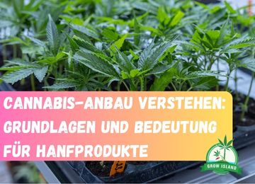 Cannabis-Anbau verstehen: Grundlagen und Bedeutung für Hanfprodukte