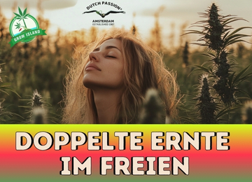 Doppelte Ernte im Freien mit Grow Island