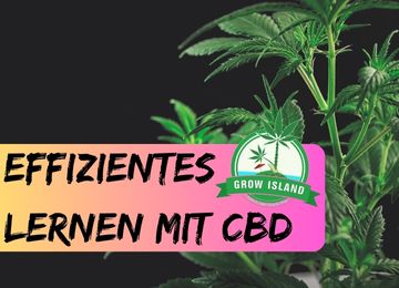 Effizientes Lernen mit CBD