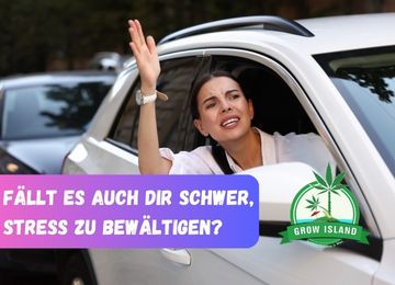 Fällt es auch dir schwer, Stress zu bewältigen?