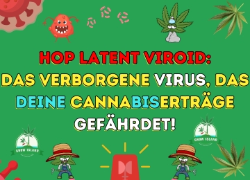 Hop Latent Viroid: Das verborgene Virus, das deine Cannabiserträge gefährdet!