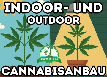 Der komplette Leitfaden für den Outdoor-Cannabis-Anbau