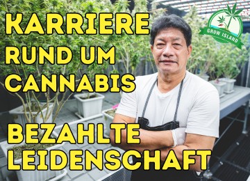 Legale Karriere in der grünen Branche: Top 10 Cannabis-Jobs in Deutschland 2025