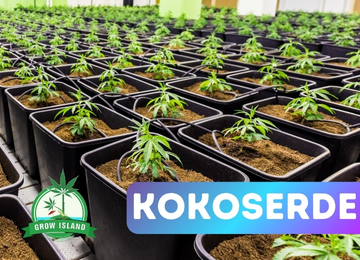 Kokoserde – Das Geheimnis für starke und gesunde Pflanzen!
