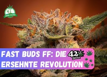 Schnellblühende Revolution: Die Fast Buds Fastflowering Serie auf Grow Island