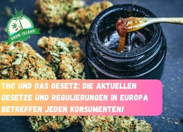 THC und das Gesetz: Die aktuellen gesetzlichen Regelungen und Vorschriften in Europa