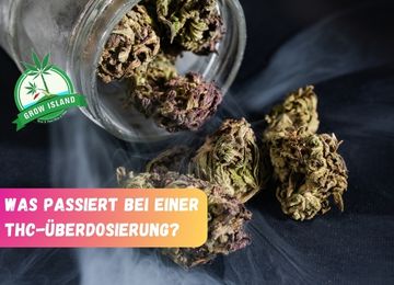 Was passiert bei einer THC-Überdosierung?