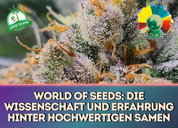 World of Seeds: Wissenschaft und Erfahrung hinter Hochwertigen Samen
