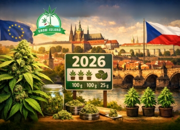 Cannabis-Legalisierung in Tschechien 2026