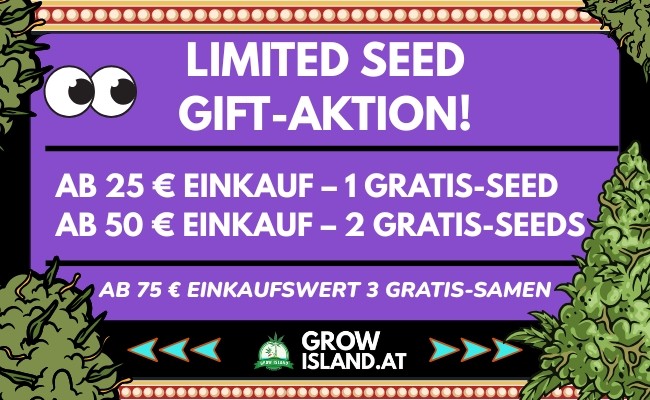 Limited Seed Gift-Aktion bei Grow Island: ab 25 € 1 Gratis-Seed, ab 50 € 2 Gratis-Seeds, ab 75 € 3 Gratis-Samen