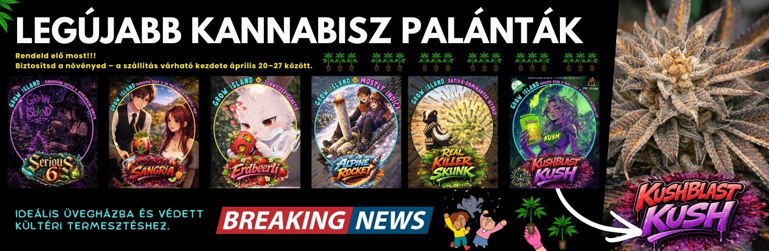 Legújabb kannabisz palánták