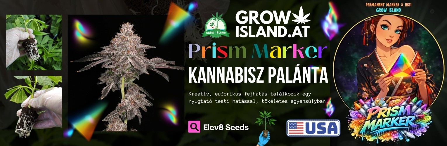 Prism Marker Kannabisz palánta