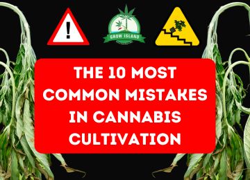 The 10 Most Common Mistakes in Cannabis Cultivation