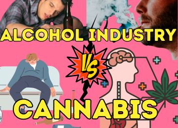How is Cannabis Transforming the Alcohol Industry in 2025?