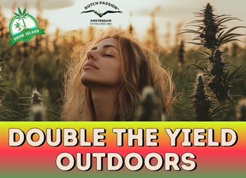 Double the yield outdoors!!