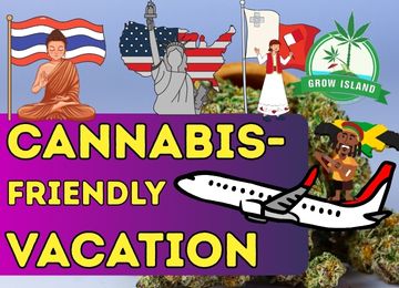 Cannabis-friendly vacation: 10 destinations where you can freely enjoy the green