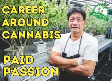 Legal Career in the Green Industry: Top 10 Cannabis Jobs in Germany in 2025