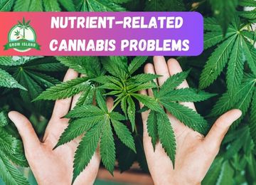 Nutrient-related problems
