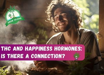 THC and Happiness Hormones: Is There a Connection?