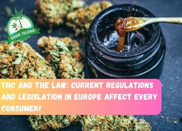 THC and the Law: The Current Legal Framework and Regulations in Europe