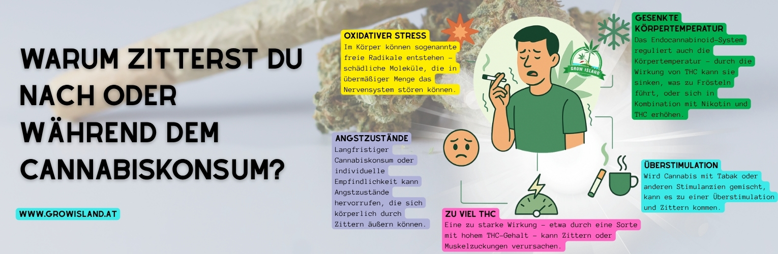 Zittern bei bestehender THC-Toleranz