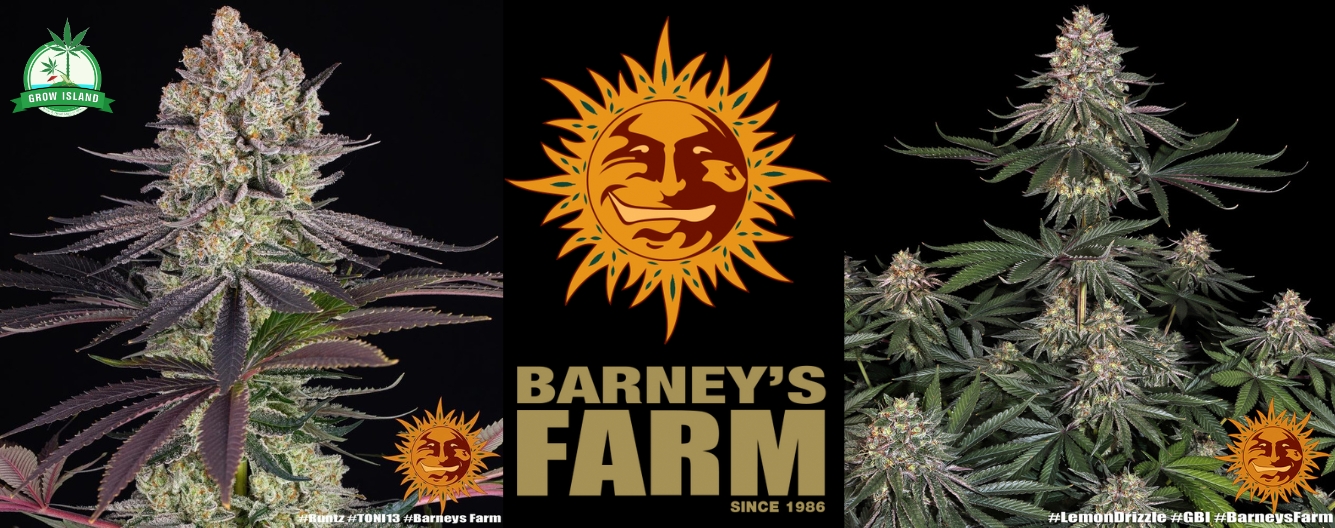 Barney’s Farm