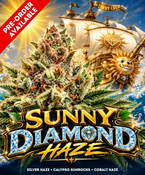 Pre-order available