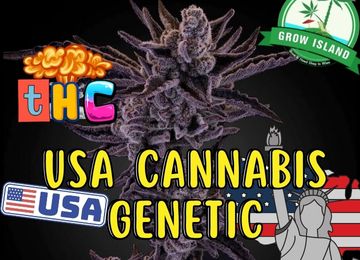US Terpenbomben