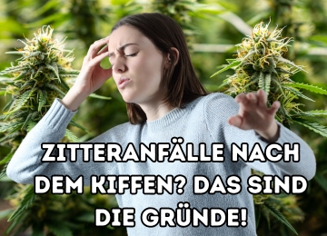 Zitteranfälle nach dem Kiffen? Das sind die Gründe!