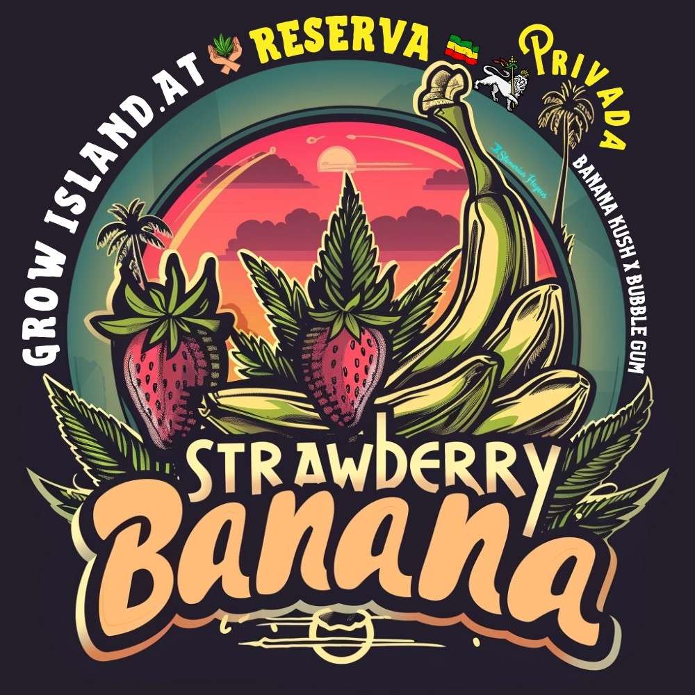 Strawberry Banana Hanfstecklinge