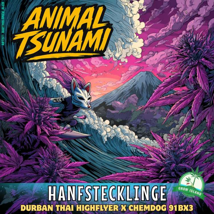 Animal Tsunami kannabisz klónok — rókamaszkos szörfös illusztráció lila virágokkal; Durban Thai Highflyer × Chemdog 91BX3 , Grow Island.
